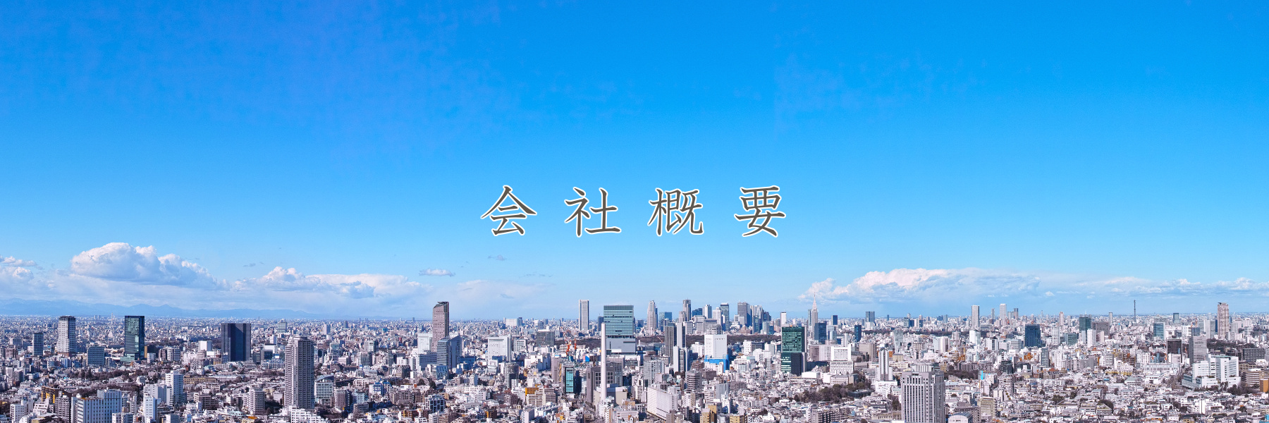 株式会社インプット